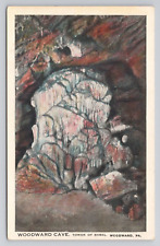 Postcard Woodward Cave Tower Of Babel Woodward Pennsylvania c1920 picture