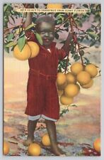 Florida FL - Young Boy Holding Grapefruit Branch Sunshine State Linen Postcard picture