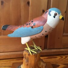 American Kestrel Decoy - Hand Carved/Painted Bird Glass Eyes Sparrow Hawk Duck picture