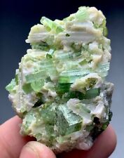 205 Carat Bunch of  Tourmaline crystal Specimen  from Afghanistan picture