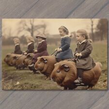 POSTCARD Guinea Pig Kids Riding Old School Vibe Weird Strange Funny Race Giant picture