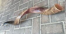 Half Polished / Natural Yemenite Kudu Horn Shofar 32-34 Inch Made In Israel picture