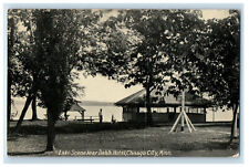 c1940s Lake Scene Near Dahl's Hotel, Chisago City Minnesota MN Antique Postcard picture