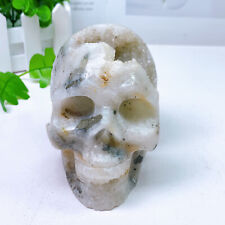 865g Natural Druzy Agate Skull Reiki Crystal Quartz Healing Energy Stone Decor picture