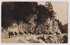 pack train on the  Mt. Wilson Wagon Road  RPPC postcard picture