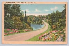 Greetings from Sweet Valley Pa Linen Postcard No 3773 picture