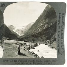 Norwegian Buarbreen Glacier Valley Stereoview 1920s Jordal Valley Norway F703 picture