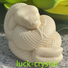 2.5''+ Natural Genuine Tagua Nut Hand Carved Snake Reiki Decoration Gift.1pc picture