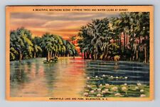 Wilmington NC-North Carolina, Trees, Greenfield Lake And Park, Vintage Postcard picture