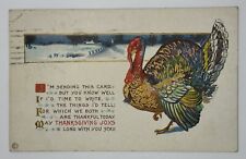 Antique 1923 Thanksgiving Joys Postcard Turkey 🦃  picture