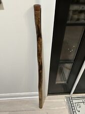 Handmade Agave Didgeridoo w/walnut Mouthpiece In The Key Of E picture