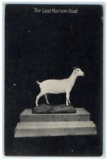 1919 The Last Harlem Goat New York NY Posted Antique Postcard picture