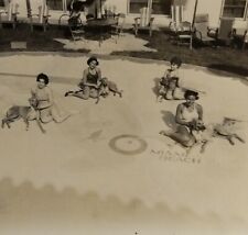 VTG 1940s Photo  Pretty Women Swimsuits Greyhounds Dog Racing Miami Kennel Club picture