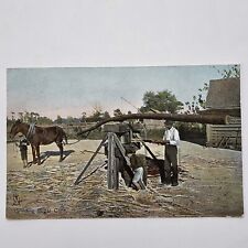 Grinding Sugar Cane Tucks Tuck & Sons 2524 Postcard Used Posted 1908 113 picture