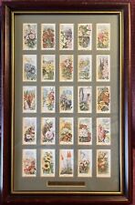 1936 ABDULLA & CO LTD “Old Favourites” Complete set of 25 FLOWER cards FRAMED picture