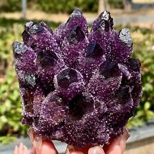 1.13LB   Newly Discovered Purple  Phantom Quartz Crystal Cluster Minerals picture