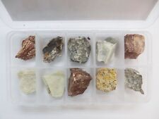 10 Sedimentary Rock Plastic Box Set Education Natural Stone Specimen Kit picture