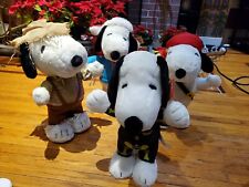 Big Snoopy Stand Up picture