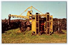 c1960 North East Heart Grape Country Machine Harvester Pennsylvania PA Postcard picture