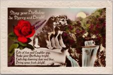 c1910s HAPPY BIRTHDAY Embossed GEL Postcard Puppy Dogs / Hand-Colored Photo picture