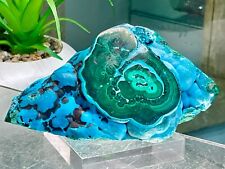 A Super High Quality-botryoidal-Chrysocolla-Malachite-231 grams picture