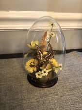 Vintage Real Butterfly Taxidermy W/Dried & Silk Flowers Glass Dome W/Wood Base picture