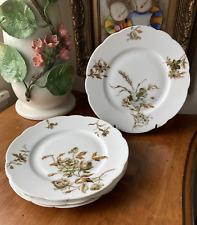 4 Four HAVILAND & CO. Limoges AESTHETIC Fall Plants Plates SCALLOPED c 1800s picture