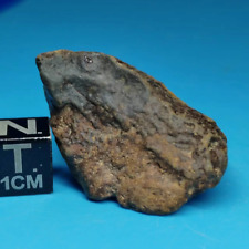 23.94g NICELY CRUSTE NWA fresh crust and matrix CHONDRITE METEORITE picture
