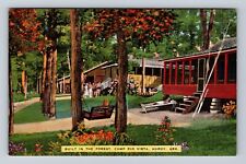 Hardy AR-Arkansas, Built In The Forest, Camp Rio Vista Antique, Vintage Postcard picture