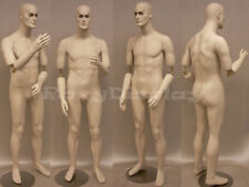 Male Mannequin Manequin Manikin Dress Form Display #MD-BC8S picture