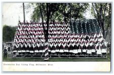 c1910 Decoration Day Living Flag Bleacher Stillwater Minnesota Vintage Postcard picture