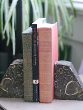 Vintage Fossil Bookends (cracked and repaired) picture