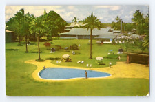 1960'S. KAUAI INN, LIHUE, KAUAI. POSTCARD II12 picture