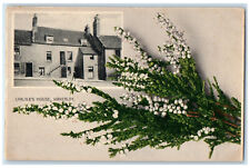 1907 Flowers Carlyle's House Kirkcaldy Fife Scotland Antique Postcard picture