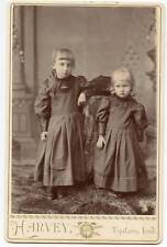 Cabinet Photo-2 Cute Little Girls-Matching Dresses-Tipton Indiana-Harvey Photog picture