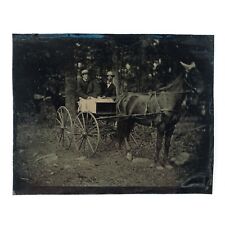 Men Driving Horse Buggy Tintype c1895 Outdoor 1/4 Plate Carriage Photo A3162 picture