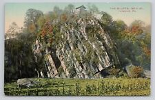 The Bluffs St. Tyrone Pennsylvania c1910 Antique Postcard picture