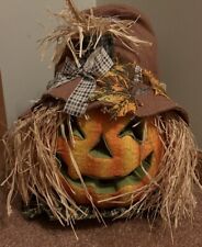 Fiber Optic Pumpkin Scarecrow picture