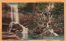 Postcard NC Catawba Falls between Ridgecrest & Old Fort Linen Vintage PC H9866 picture