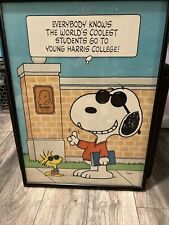 RARE 70’s Vintage 20x28” Peanuts SNOOPY & Woodstock Poster Young Harris College picture