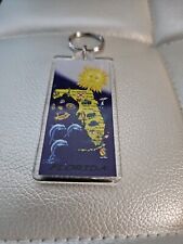Vintage Florida Acrylic Sunshine Dolphin Fish Keychain souvenir Collectable  picture