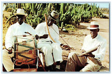 c1950s Playing Instruments Countryside Musicians Curacao Netherlands WI Postcard picture