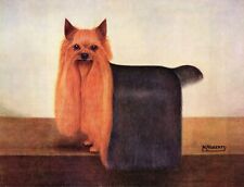 1930s Antique Yorkshire Terrier Art Print Champion Harringay Remarkable 4863k picture