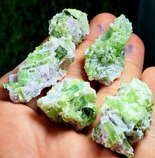 270carats 5 pieces lot of lovely mixed tourmaline specimens clusters bunches picture