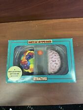 Attractives Magnetic Ceramic Salt Pepper Shakers Left and Right Brain picture
