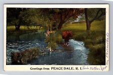 Peace Dale RI-Rhode Island Greetings, Cow In Stream, Antique Vintage Postcard picture