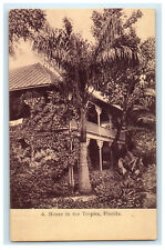 c1905s Big House Standing in the Tropics, Florida FL Posted Antique Postcard picture