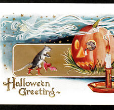 Halloween Greeting 1911 Rat Lover Witch Pumpkin JOL Mice Whitney WH43-1 PostCard picture