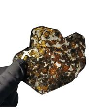 42.5G SERICHO pallasite Meteorite slice - from Kenya QA449 picture