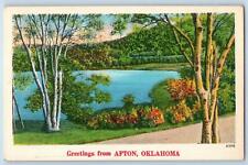 Afton Oklahoma OK Postcard Greetings Country Road Lake Trees Scenic View c1940s picture